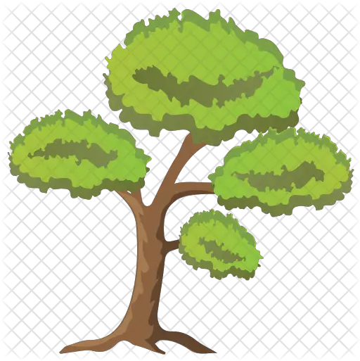  Scots Pine Tree Icon Gambel Oak Png Pine Tree Branch Png