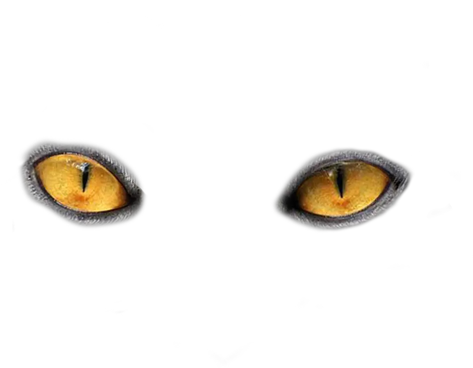  Eyes Png Images Free Download Cat Eyes Png Creepy Eye Png