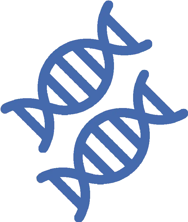  Eton Bioscience Inc Dna Icon Vector Png Dna Match Icon