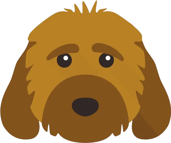  U0027dog Iconu0027 Personalized Dog Coasters Set Of 4 Goldendoodle Png Belle Icon Pack