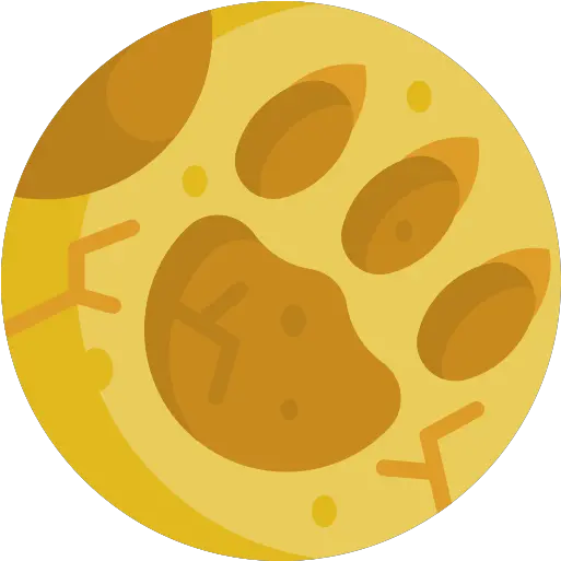  Jungle Fun Baamboozle Dot Png Jungle Map Icon