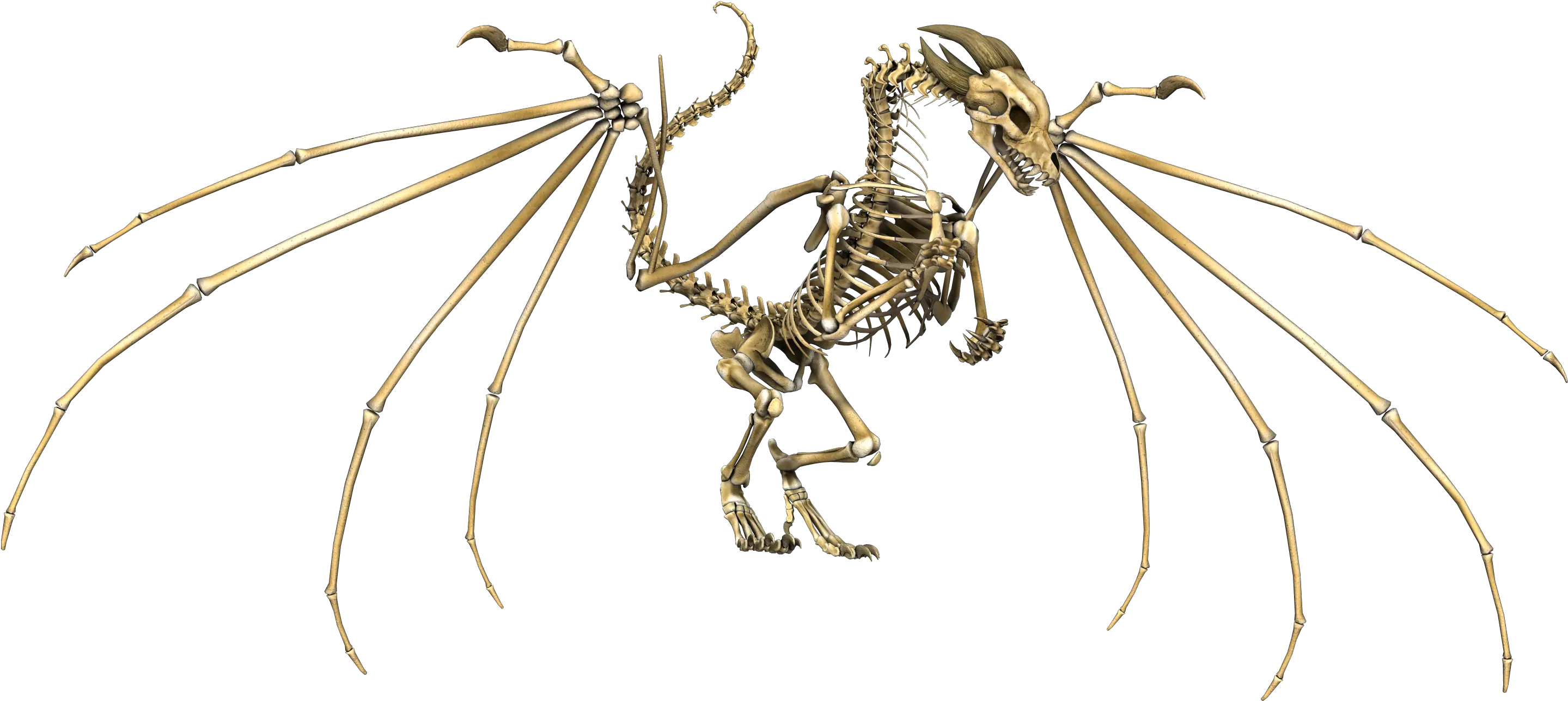  Dragon Skull Png Dragon Skeleton Wings Flying Fantasy Skeleton Dragon Dnd 5e Skeleton Png Transparent