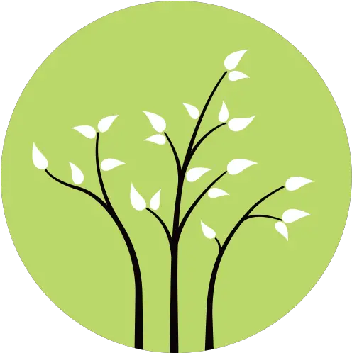  Three Branches Wellness Twig Png Branches Icon