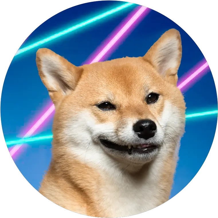  About Shiba Inu Shopping Cart Png Shiba Inu Transparent