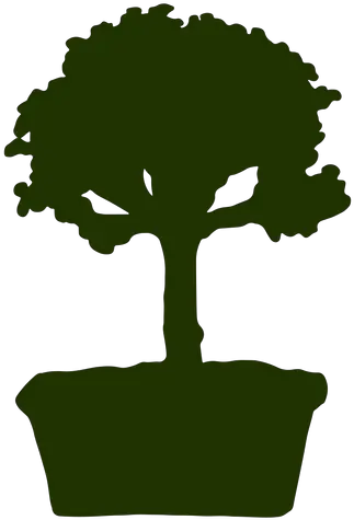  Bonsai Graphics To Download For Indoor Png Arbor Icon Hoodie