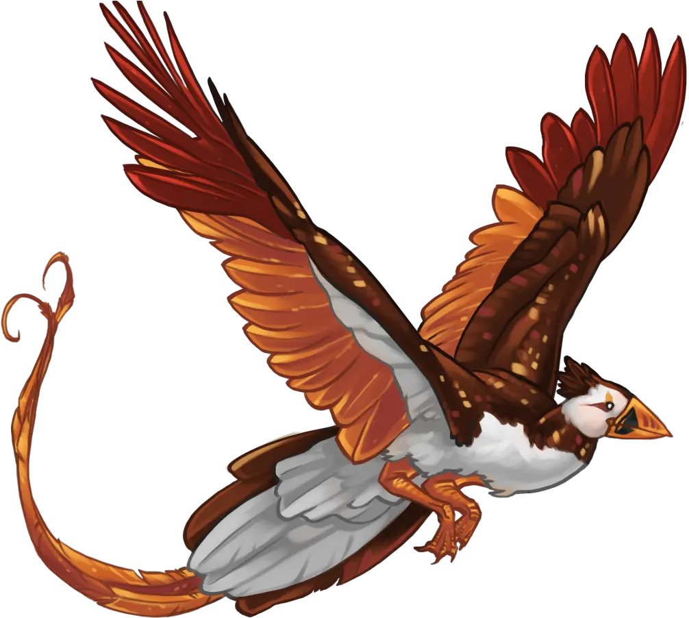  Download Hd Pheonix Template Autumn Zpsdd43cdc6 Hawk Falconiformes Png Hawk Png