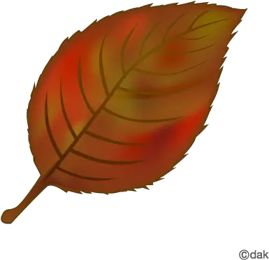  Download Hd Foliage Clipart Red Leaf Falling Tree Leaves Tree Leaves Clipart Png Leaf Clipart Transparent