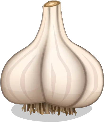  Download Garlic Png File 1 Garlic Icon Garlic Transparent Background