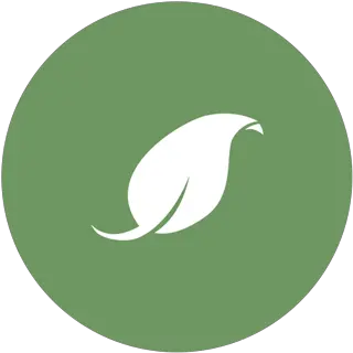  Direct Lumber And Door Offsite Manufacturing Program Songbirds Png Kiwi Bird Icon