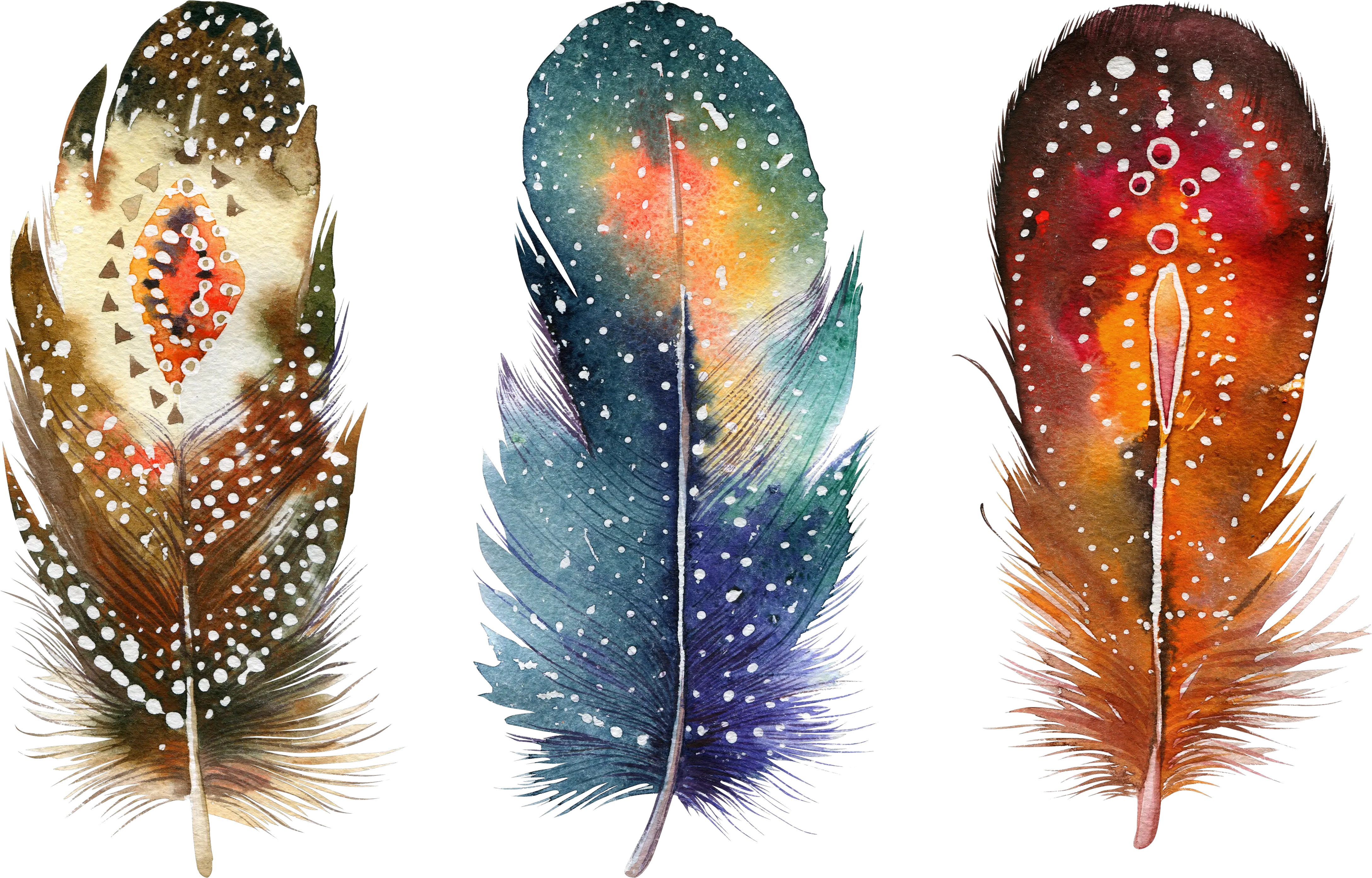  Download Hd Watercolor Painting Feather Png Drawing