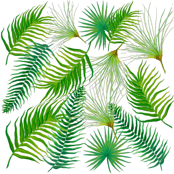  Tropical Leaves And Ferns Round Beach Towel Leaf Png Tropical Leaf Png