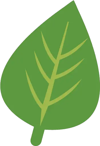  Herb Green Leaf Icon Png And Svg Vector Free Download Vertical Warning Icon 16x16