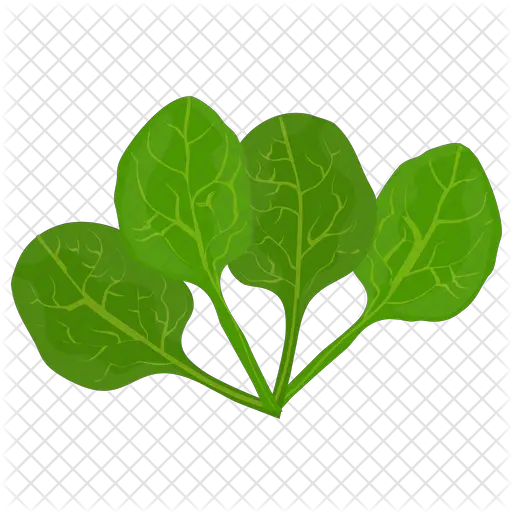  Spinach Leaves Icon Illustration Png Spinach Png