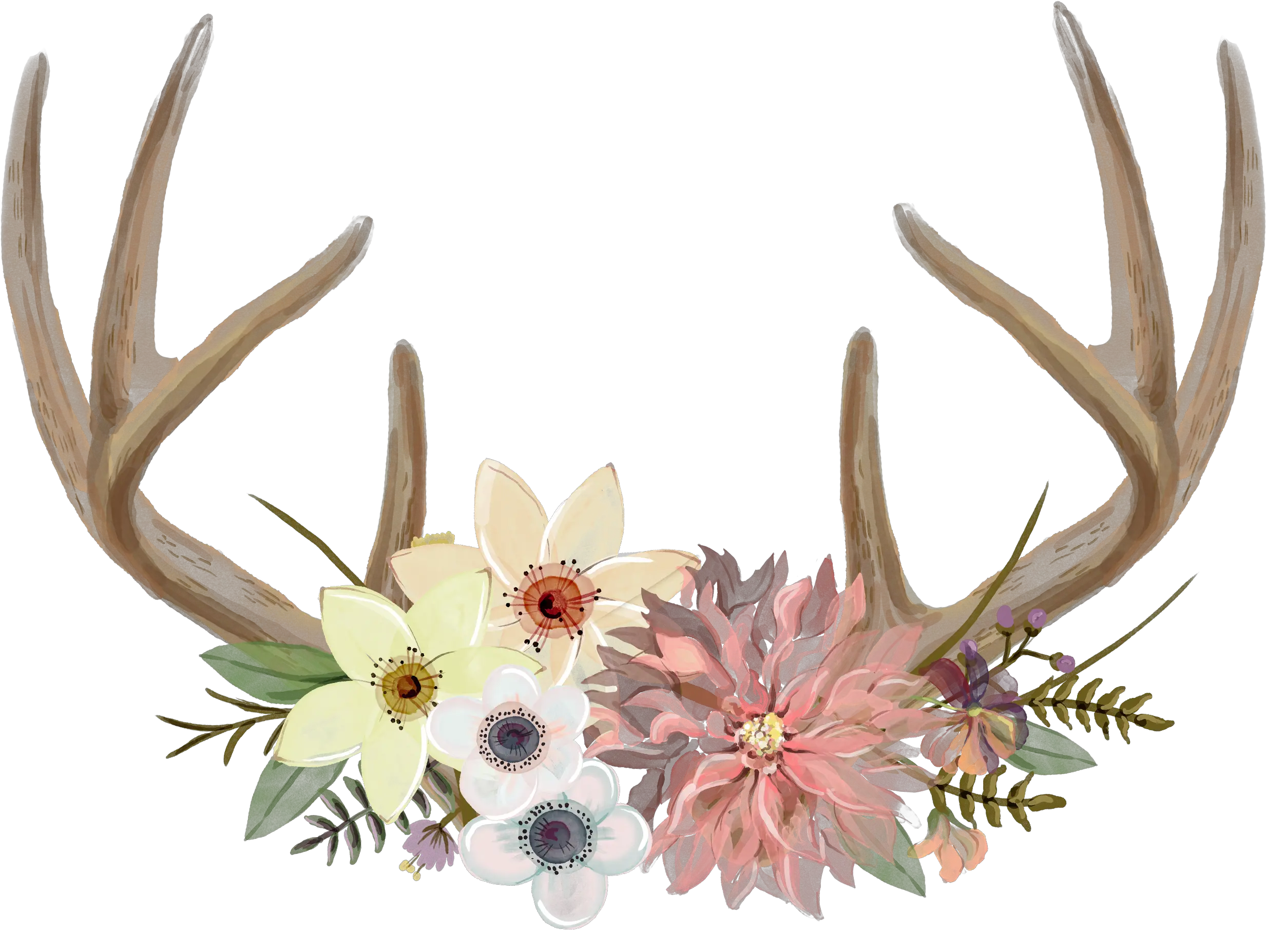  Download Watercolour Antler Full Size Png Image Pngkit Printable Antlers With Flowers Antler Png