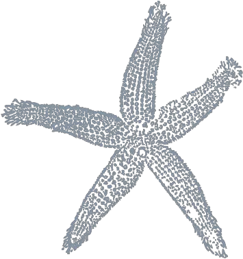  Maehr Blue Starfish Png Svg Clip Art For Web Download Lovely Starfish Png