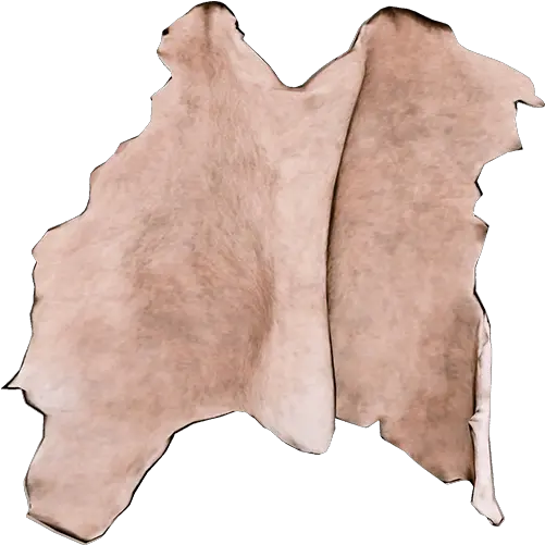  Raccoon Skin Official The Forest Wiki Drawing In Animal Skin Png Raccoon Png