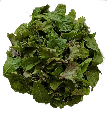  Baby Mix Kale Babe Farms Spring Greens Png Kale Png