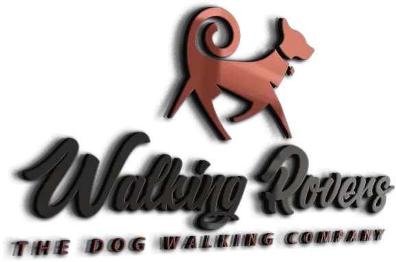  Walking Rovers Walking Rovers About Us Section Detailing Portable Network Graphics Png Dog Walking Png