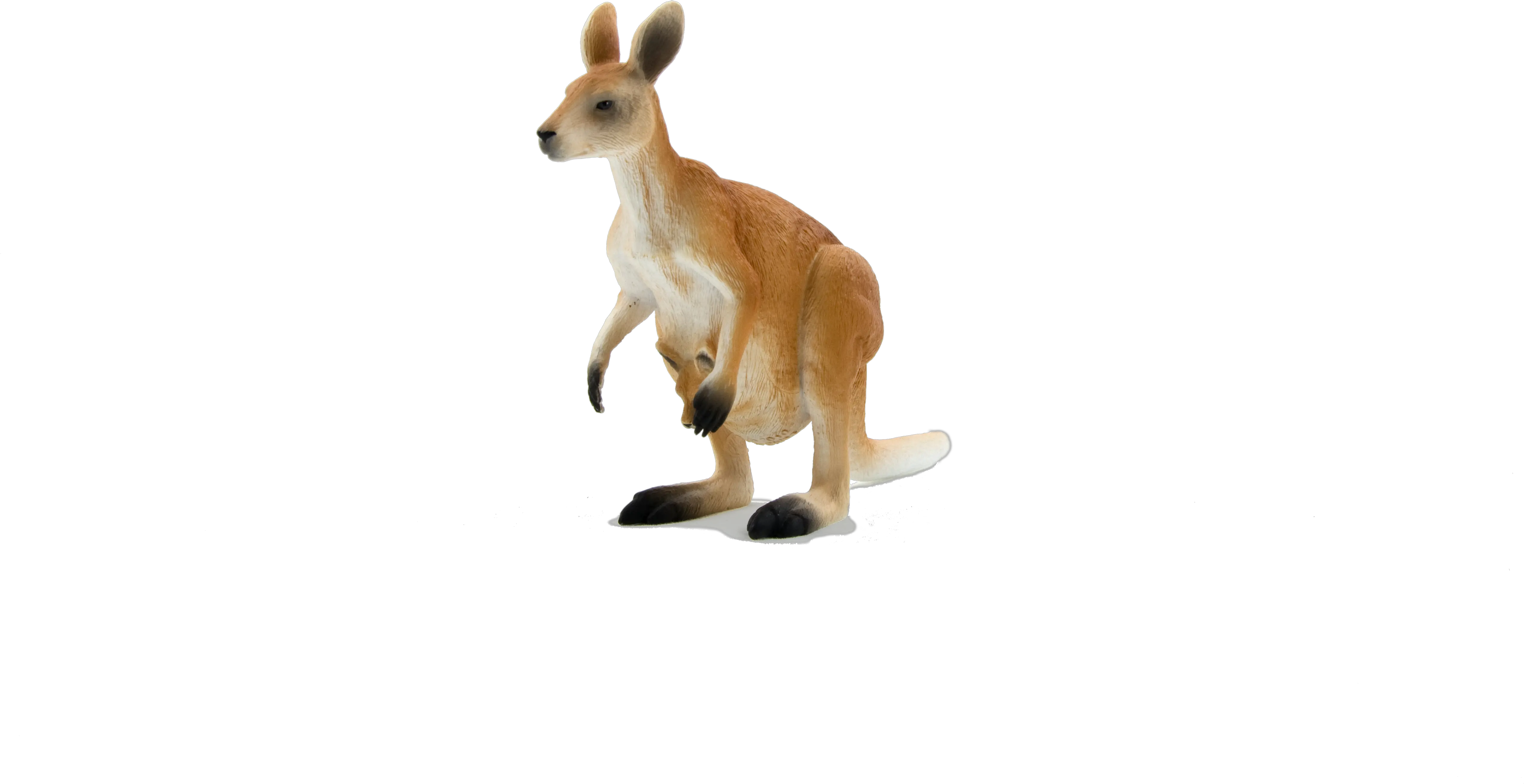  Download Hd Kangaroo Png Transparent Image Nicepngcom Animal Planet Toys Kangaroo Kangaroo Transparent Background