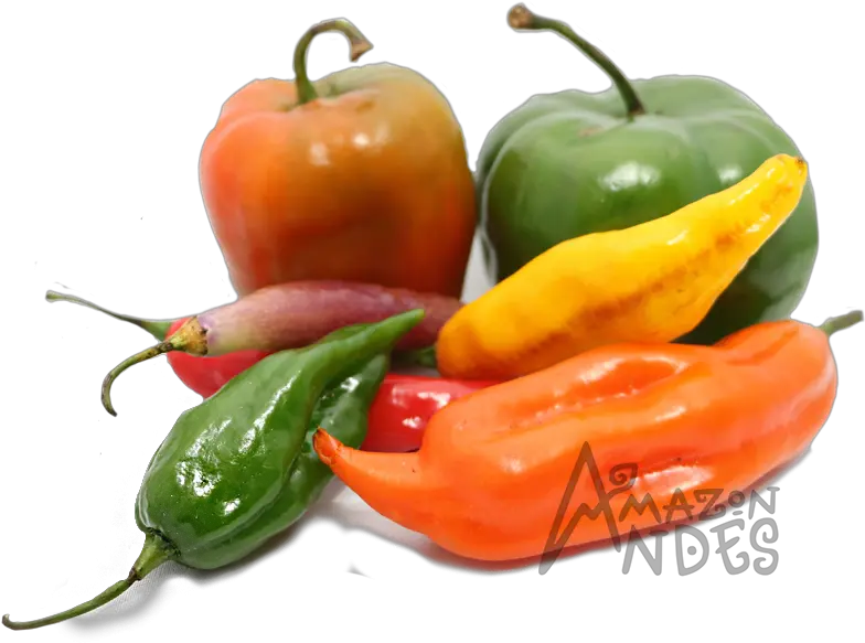  Peruvian Chili Peppers Suppliers Wholesale Variedad De Ajies Peruanos Png Chili Pepper Logo