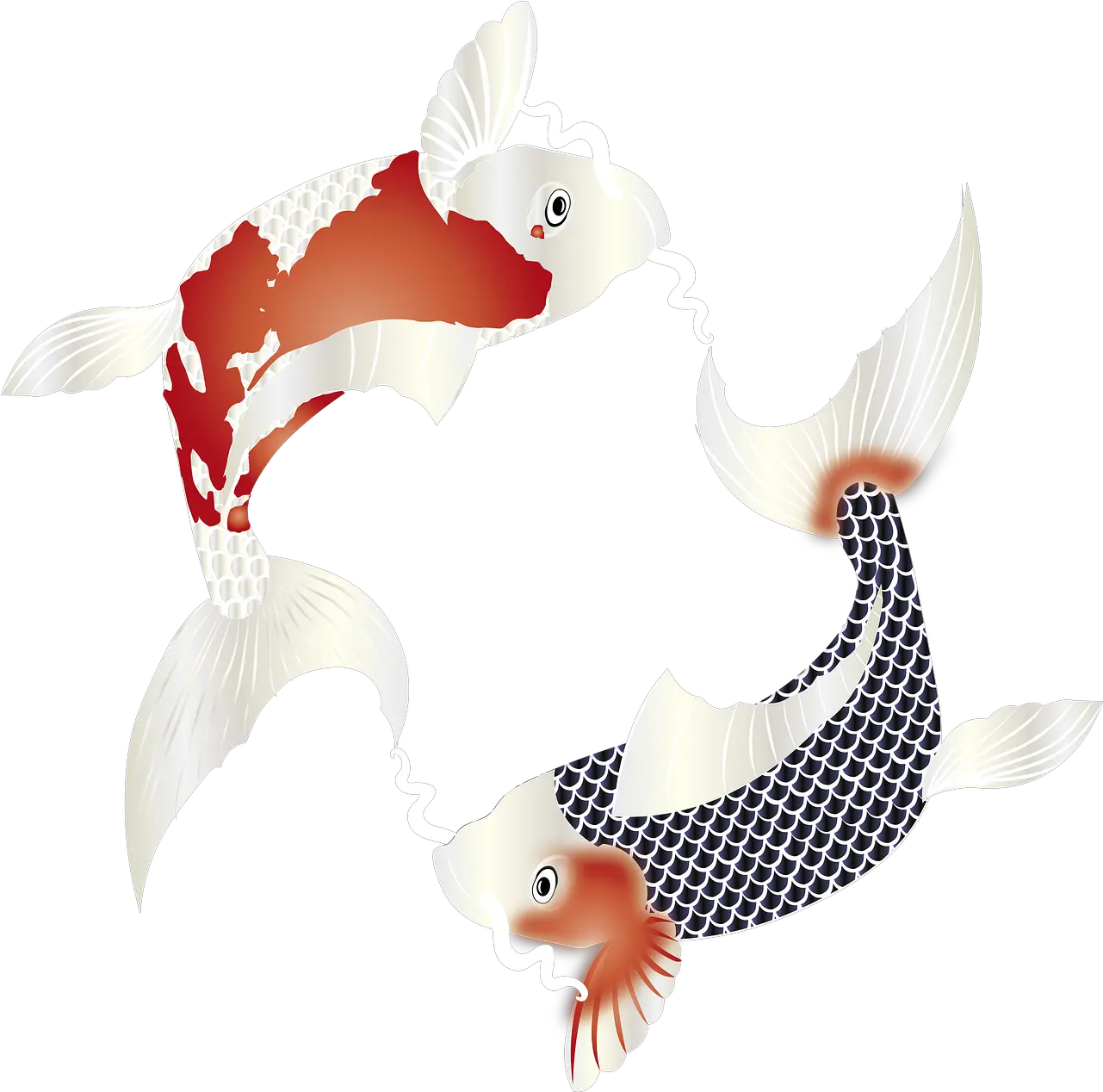  Fish Carp Koi Free Image On Pixabay Aquarium Fish Png Zen Icon