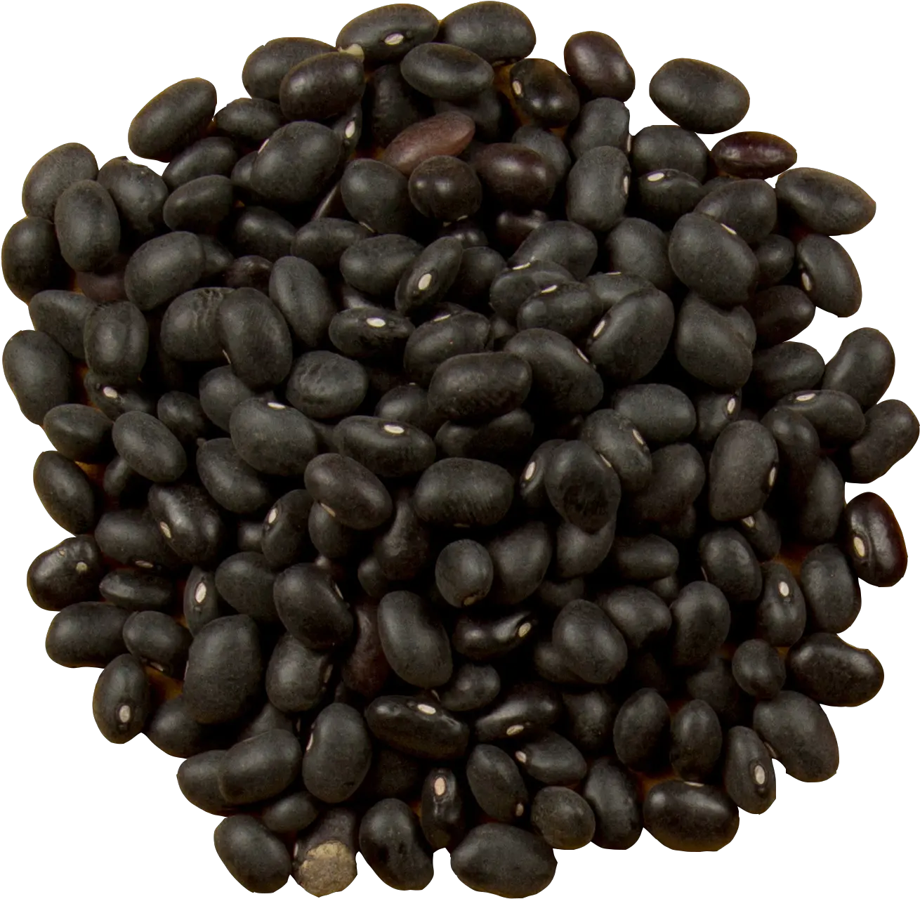  Burrito Black Turtle Bean Food Mrs Whatsit A Pile Of Black Beans Png Burrito Png