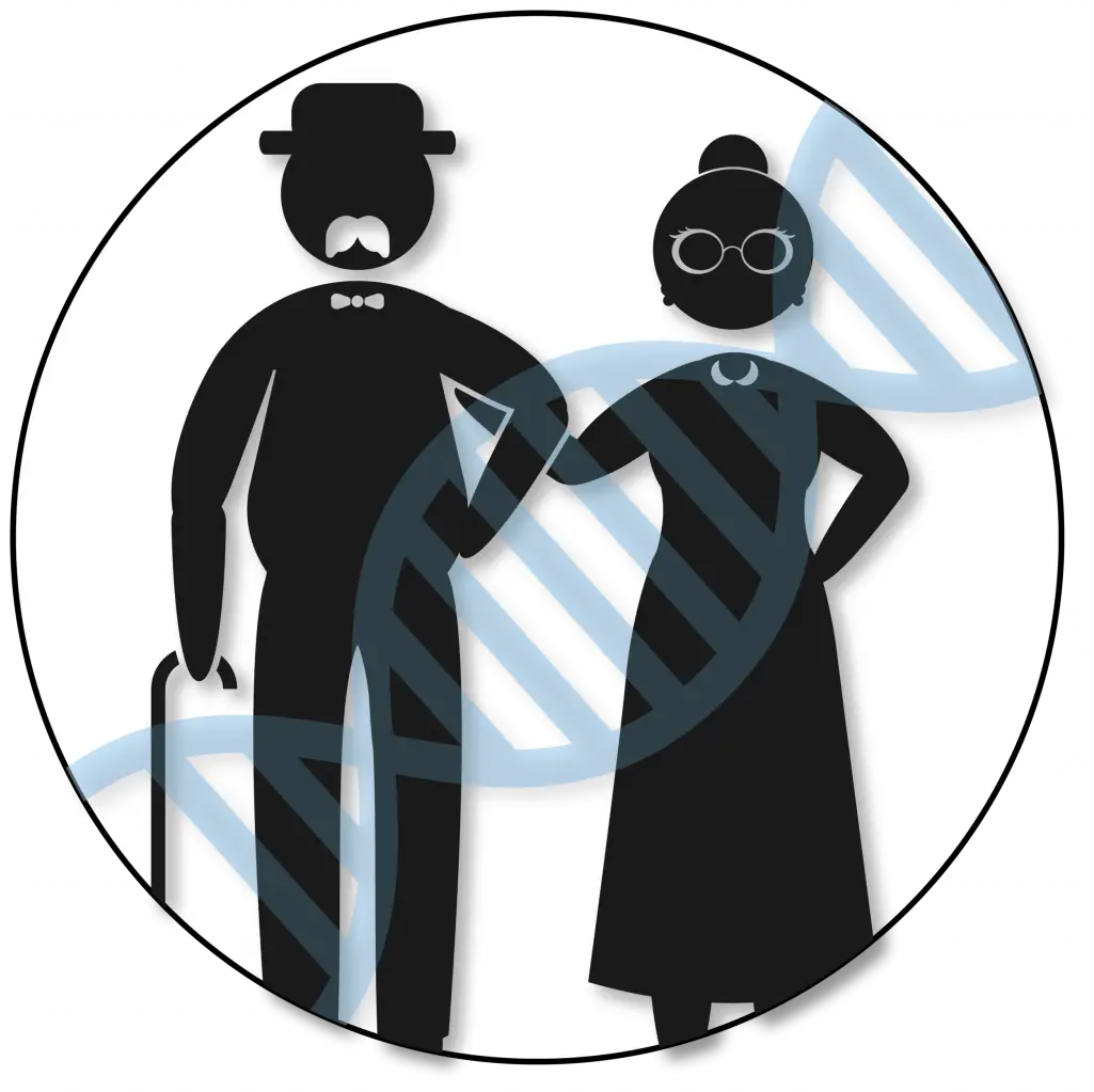  Find An Ancestor Using Dna Your Dna Guide Png Dna Match Icon