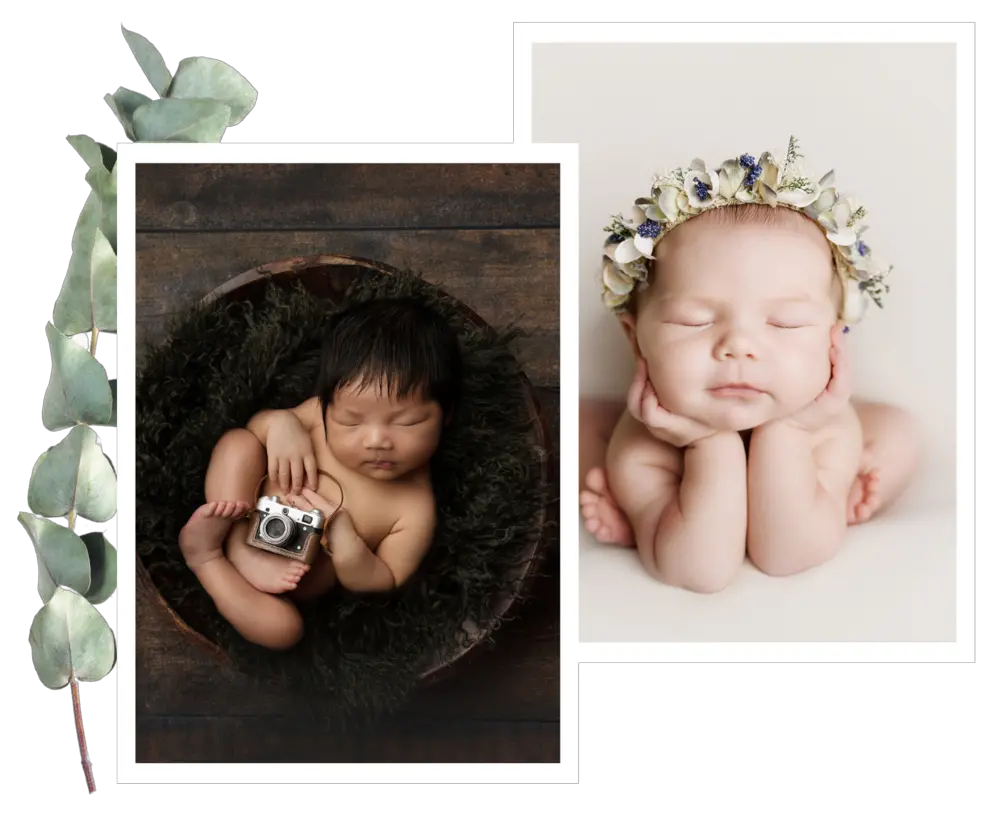  Austin Newborn Photographer Jessica Doffing Photography Png