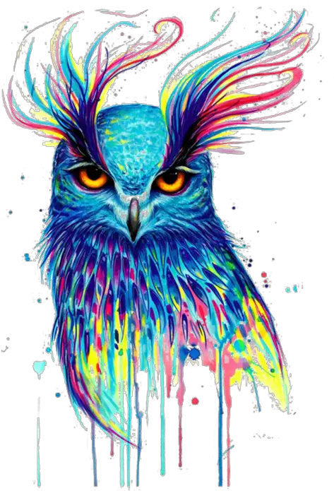  Owl Illustration Png Image Free Watercolor Owl Owl Png