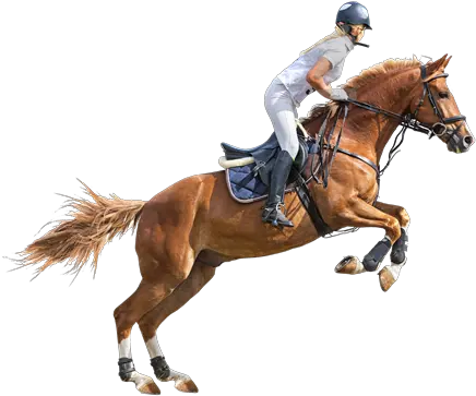  Horse Riding Png Transparent Image 12 Free Transparent Transparent Horse Riding Png Horse Transparent Background