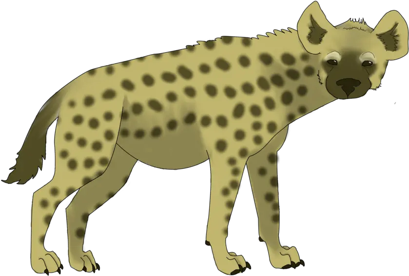  Spotted Hyena Transparent Cartoon Jingfm Hyena Clipart Png Hyena Png