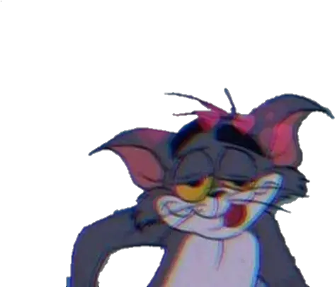  163 Images About Tom And Jerry On Drugs Png Tom And Jerry Png