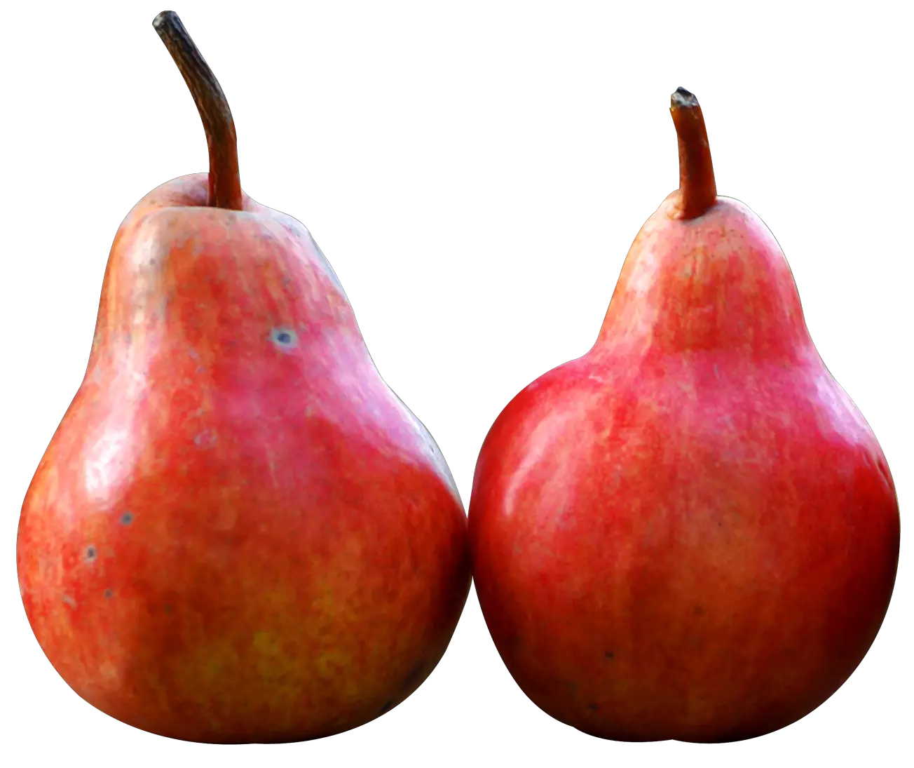  Pear Png Image Name Red Color Fruit Pear Png