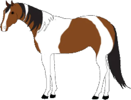  Paint Clipart Horse Stallion Png Download Full Size Stallion Horse Clipart Png