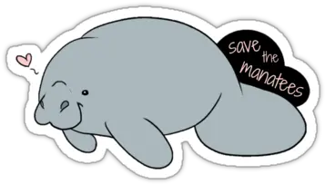  Save The Manateesu0027 Sticker By Peyhae Stickers Manatee Save The Manatee Cartoon Png Manatee Png