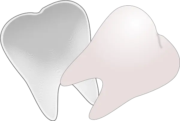  Tooth Outline Free Clipart Clipartingcom Tooth Clip Art Png Tooth Clipart Png