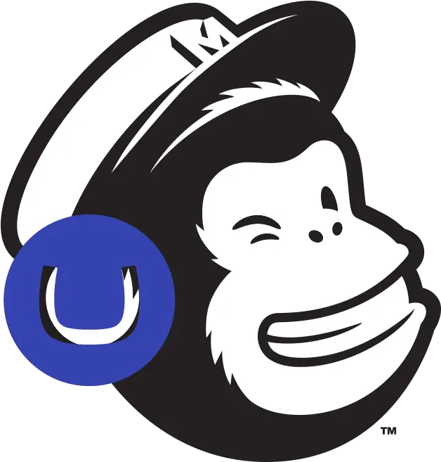  Umbracoformmailchimpworkflow Ourumbracocom Mailchimp Png Media Monkey Icon