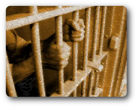  Download Prisoner Grasping Bars Prison Break Not All Prisión Permanente Revisable Png Prison Bars Transparent Background