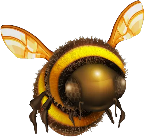  Pin By Debra Lee On Clip Art Clip Art Bee Insects Clipart Transparent Bee Png Bumblebee Png