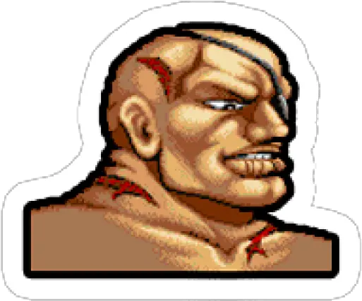  Sticker Maker Street Fighter Ii Sagat Png Street Fighter Ii Logo