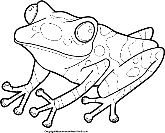  Download Free Png Frog Clipart Dlpngcom True Frog Frog Clipart Png