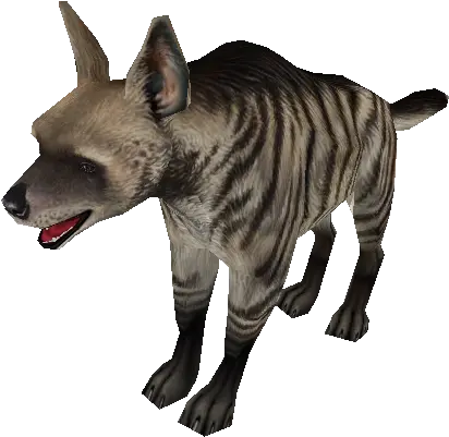  Pc Computer Zoo Tycoon 2 Striped Hyena The Models Companion Dog Png Hyena Png
