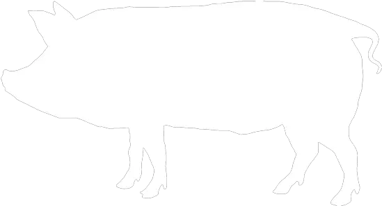  Hemorrhagic Bowel Images White Silhouette Of Pig Png Pig Silhouette Png