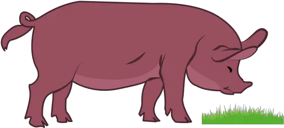  Pig Clip Art Transparent Background Picture 4181 Livestock Png Pig Transparent