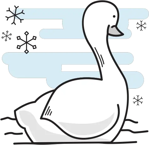  Bird Christmas Duck Goose Swan Swimming Icon Christmas Day Png Swan Png