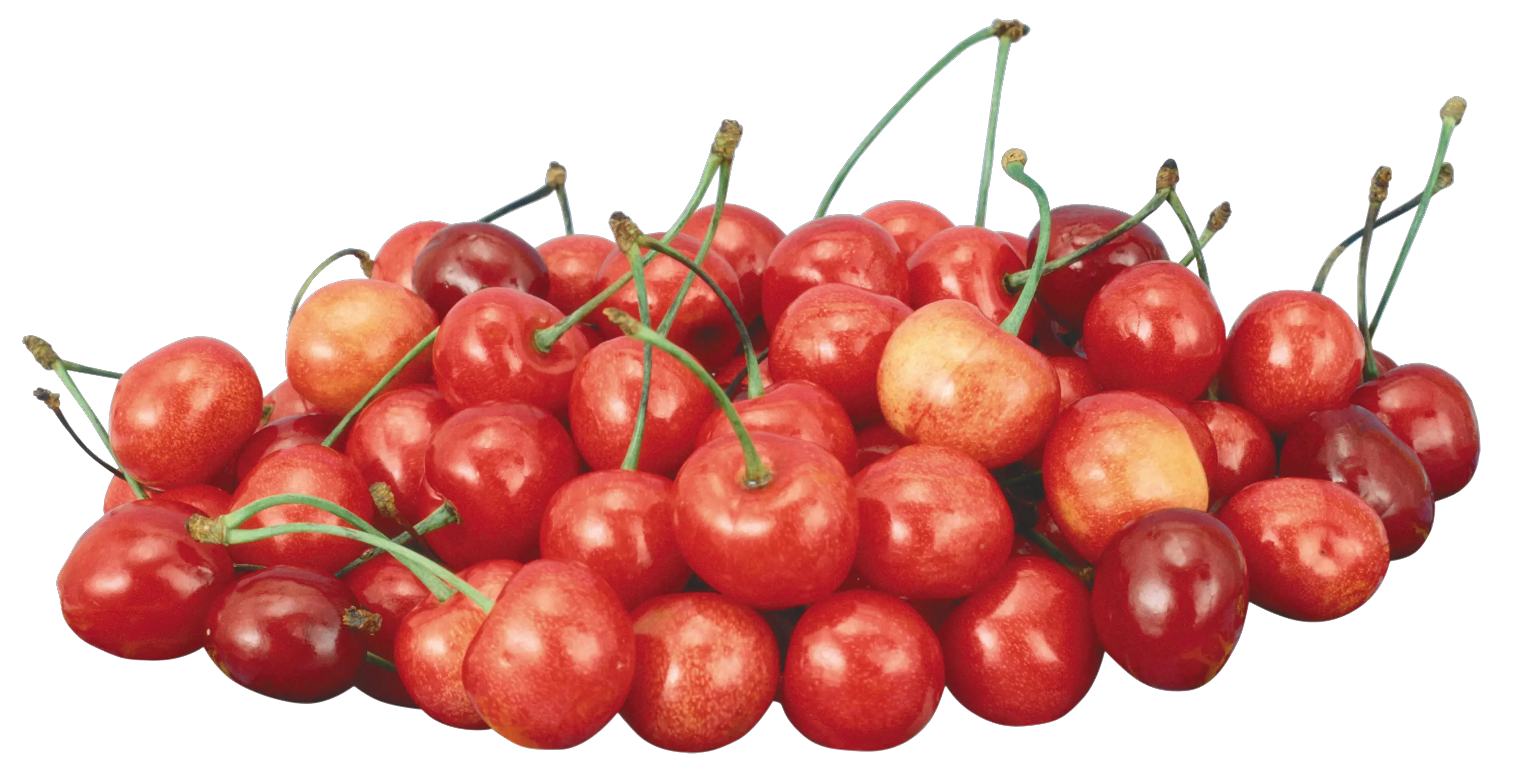  Cherries Png Cherries Acerola Cherries Png 153257 Cherries Png