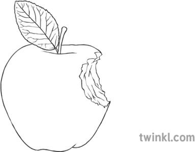  Apple With Bite Mark Black And White Black And White Apple Core Png Bite Mark Png