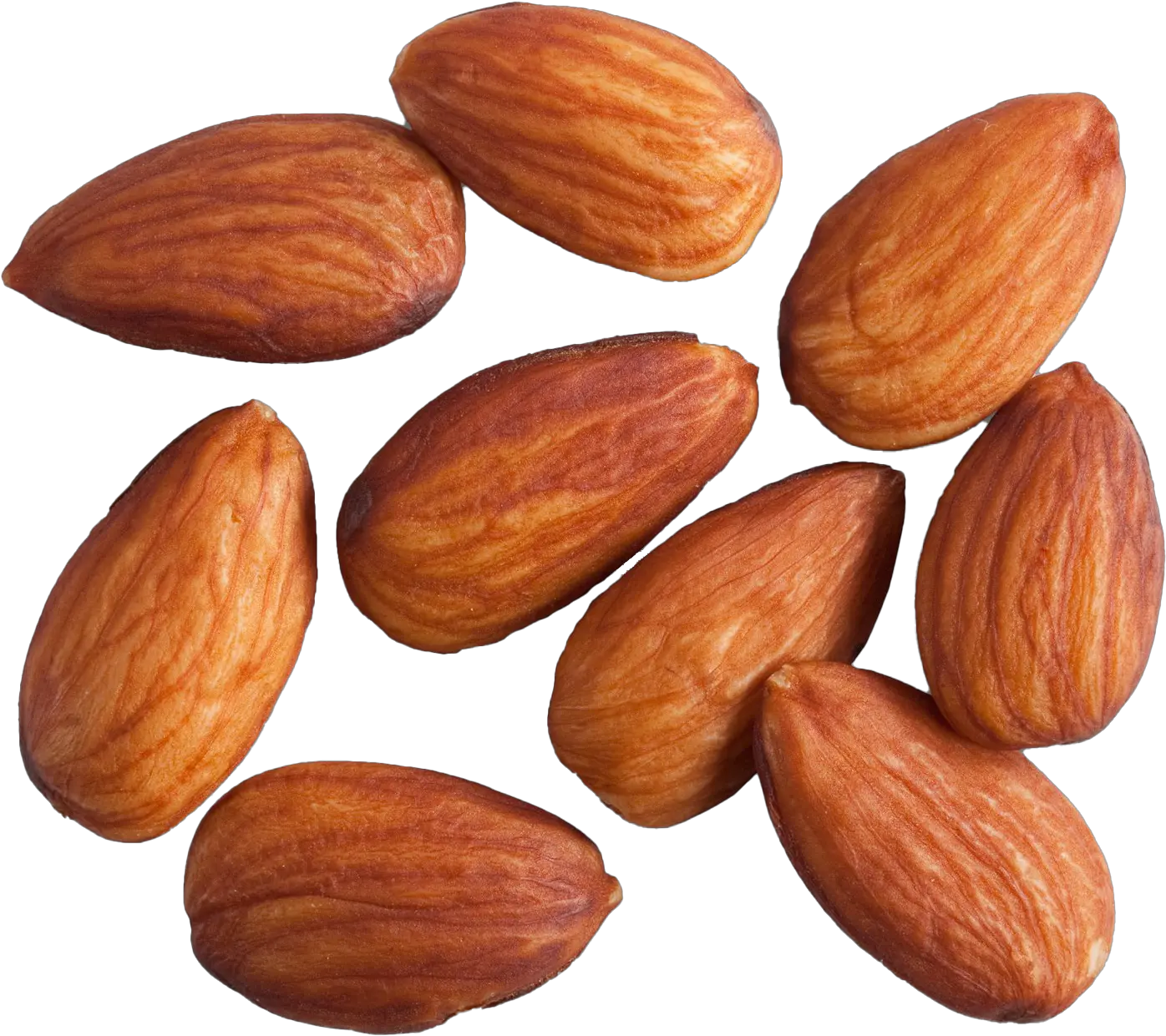  Almond Png Photo Image Dry Fruits Png Almonds Png