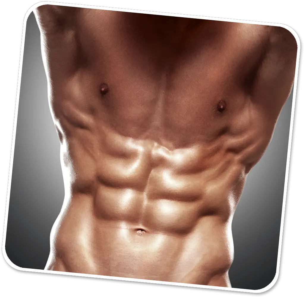  Download Fighter Abs Png Image With No 6 Apps Body Abs Png