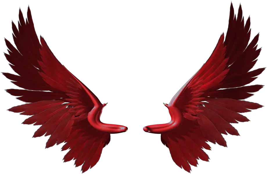  Pretty Wings Transparent Red Wings Png Wings Png